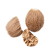 Nutmeg